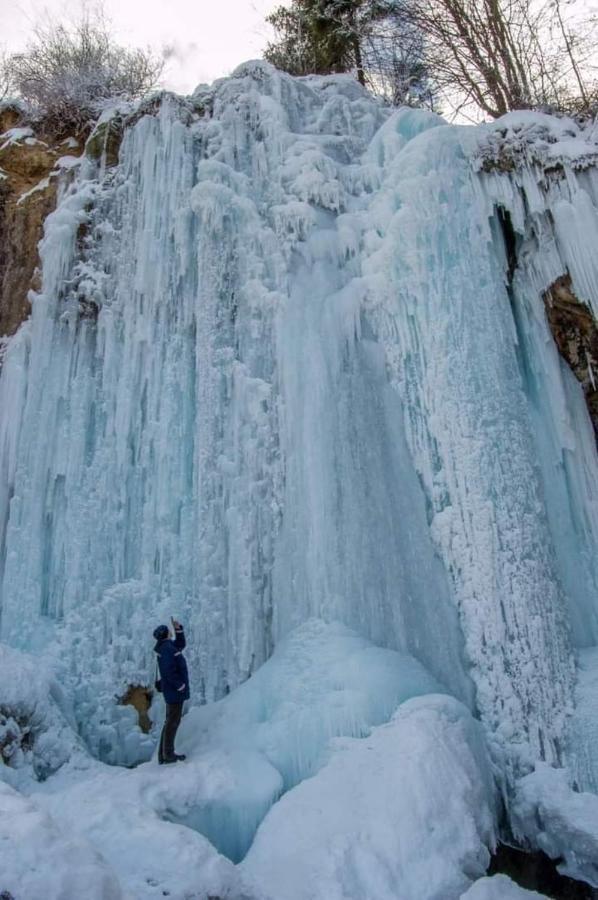 Deea Cascada Βίλα Vidra  Εξωτερικό φωτογραφία