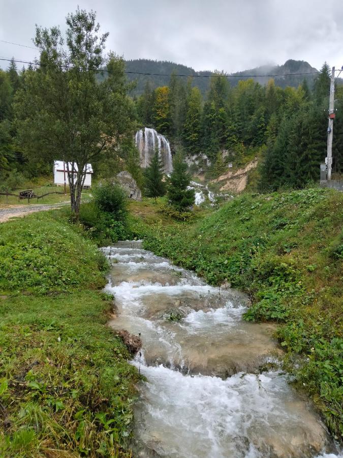 Deea Cascada Βίλα Vidra  Εξωτερικό φωτογραφία